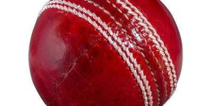 Leather Cricket Balls