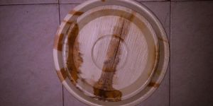 Areca Leaf Plate 4 Inch