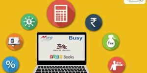 Accounting ERP Services