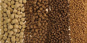 Fish Feed