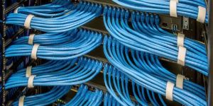 Networking Data Management Services