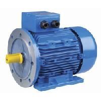 Industrial Electric Motor
