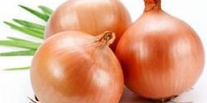 Fresh Red Onion