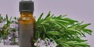 Eucalyptus Oil