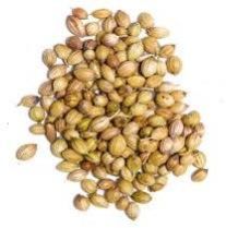 Coriander Seeds