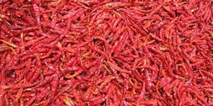 Dried Red Chilli