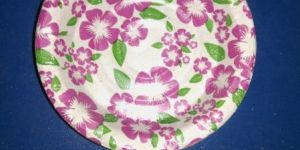 Printing Paper Plate