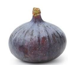 Fig