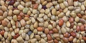 Horse Gram