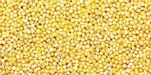 Millet