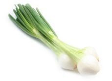 Spring Onion