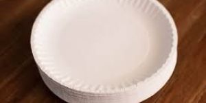 Disposable Paper Plates
