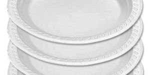 Disposable Thermocol Plates