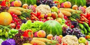 Magic  Grow Gel   Slow Release & Moisture Retaining