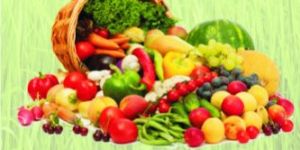 Seaweed Gel - organic nutrition source for almost all type of plants