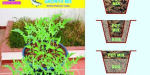 Terrace Garden Potting Soil