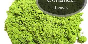 Coriander Powder