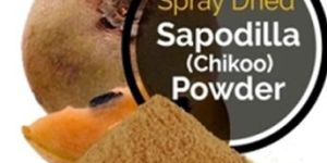 Sapodilla Powder