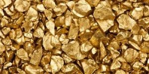Gold Nuggets