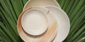 Areca Leaf Plate