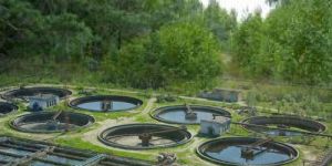 Sewage Water Treatment Plant