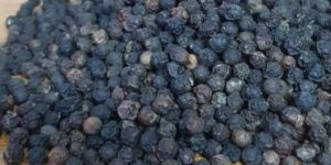 Black Pepper