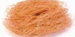 Coir Fibre