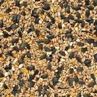 Bird Seed