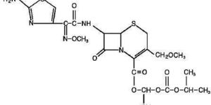 Cefpodoxime Proxetil