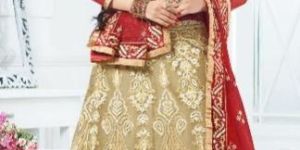 Designer Lehenga Choli