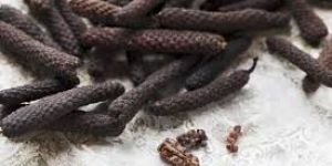 Long Pepper
