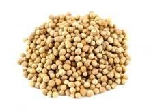 Coriander Seeds