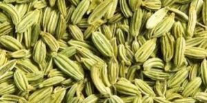 Fennel Seeds