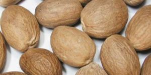Nutmeg Without Shell