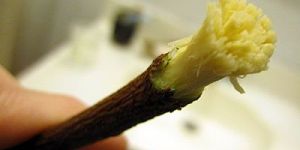 Neem Sticks
