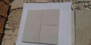 Gwalior White Mint Sandstone