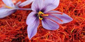 Mogra Saffron