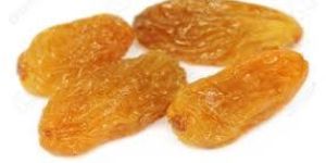 Golden Raisins
