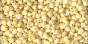 Jowar
