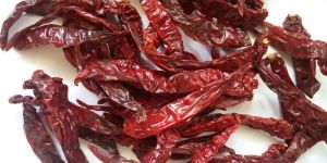 Duplicate Byadgi Chilli