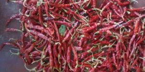 Teja Sannam Red Chilli