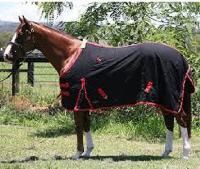 Horse Clothing