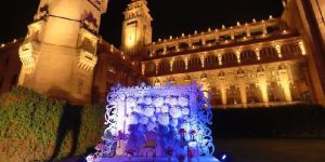 Selfie Point Decoration