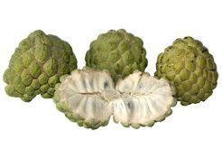 Custard Apple