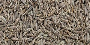 Cumin Seeds