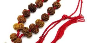 Rudraksha Siddha Mala