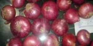 Red Onions