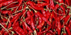 Dry Red Chili