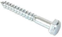 Coach Screw