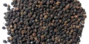 Black Pepper Seeds